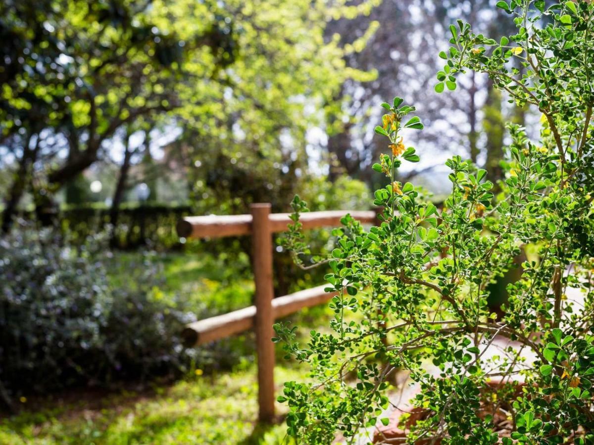 Villa Agriturismo Alberese Sasso Rosso Extérieur photo